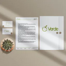 Identyfikacja wizualna marki Verde: wizytówka, papier firmowy i koperta z logo firmy, obok doniczka z sukulentem na beżowym tle.
