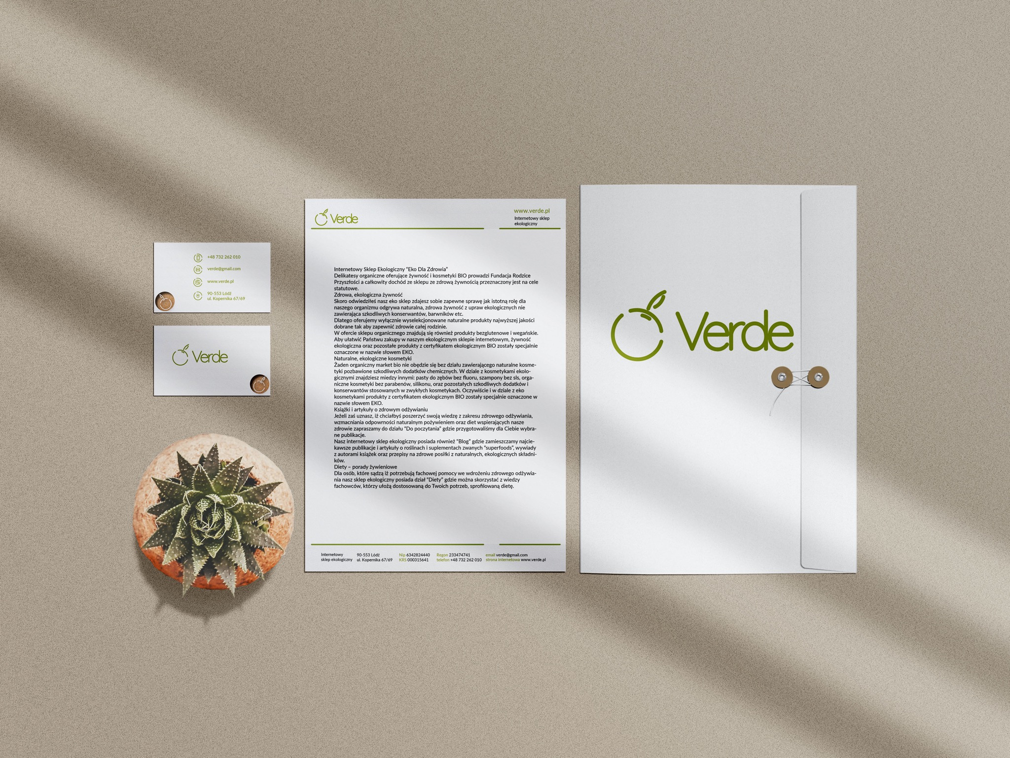 Identyfikacja wizualna marki Verde: wizytówka, papier firmowy i koperta z logo firmy, obok doniczka z sukulentem na beżowym tle.