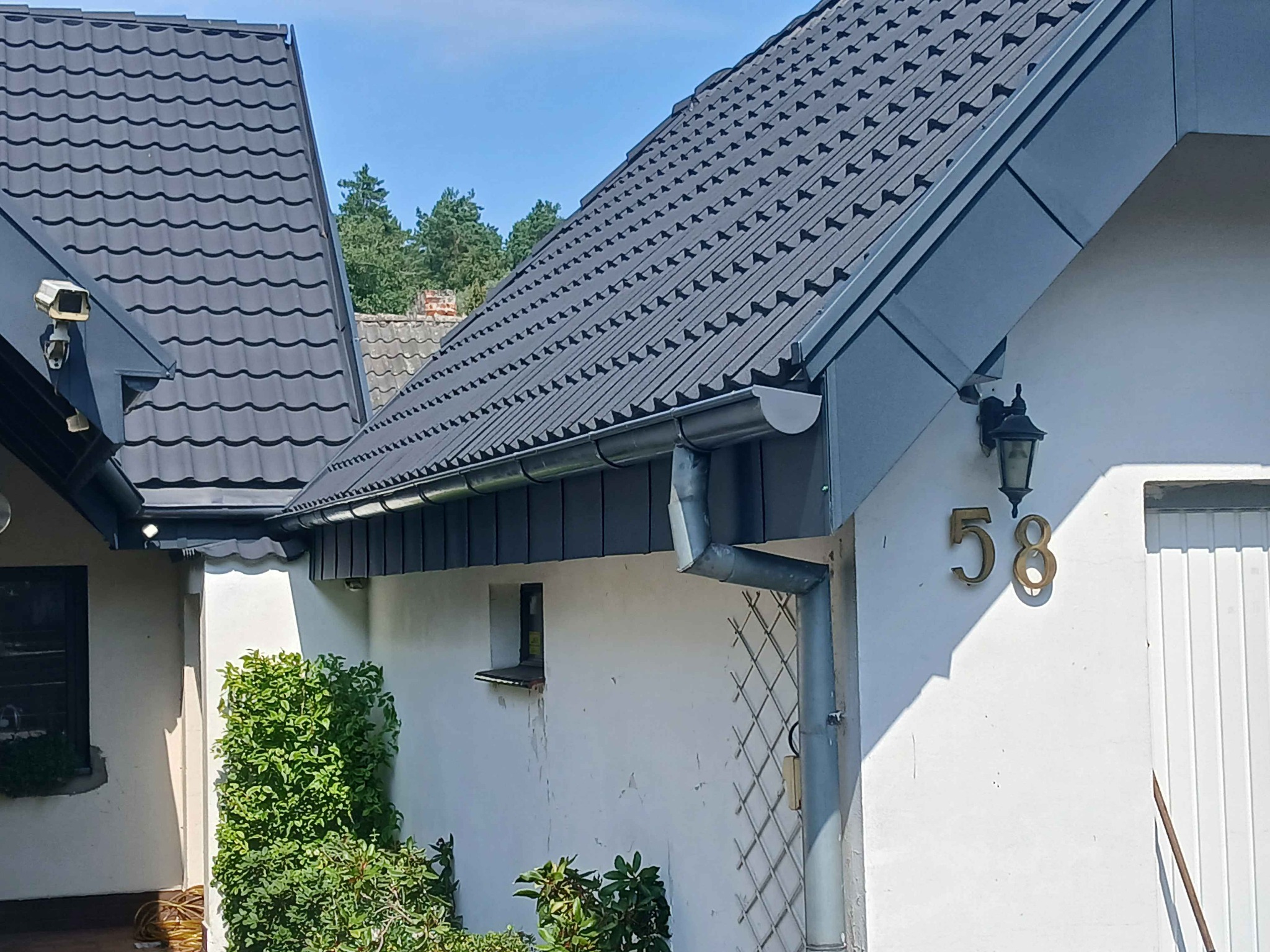 Szary dach z blachy trapezowej na białym domu jednorodzinnym, widoczne rynny i obróbki blacharskie. Ujęcie z poziomu ogrodu, w tle drzewa.