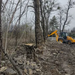Żółta koparko-ładowarka JCB usuwa powalone drzewo, pozostawiając widoczny pień. Teren nierówny, pokryty błotem i kamieniami. W tle drzewa bez liści i szary betonowy mur.