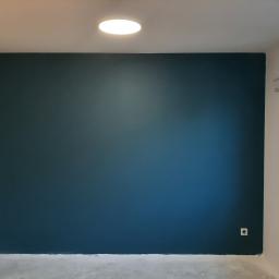 AQUA-TERM2 - Świeżo pomalowana ściana w odcieniach granatu, widoczny gładki tynk, białe ściany boczne i sufit z okrągłą lampą, w dolnej części ściany kontakt elektryczny, surowa podłoga.