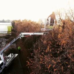 Operator w koszu podnośnika teleskopowego, przycina gałęzie wysokiego drzewa iglastego; drugi pracownik w zielonej kurtce nadzoruje z dołu; w tle budynek gospodarczy.