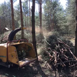 Żółty rębak do gałęzi w lesie podczas pracy, w tle stos pociętych gałęzi i drzewa