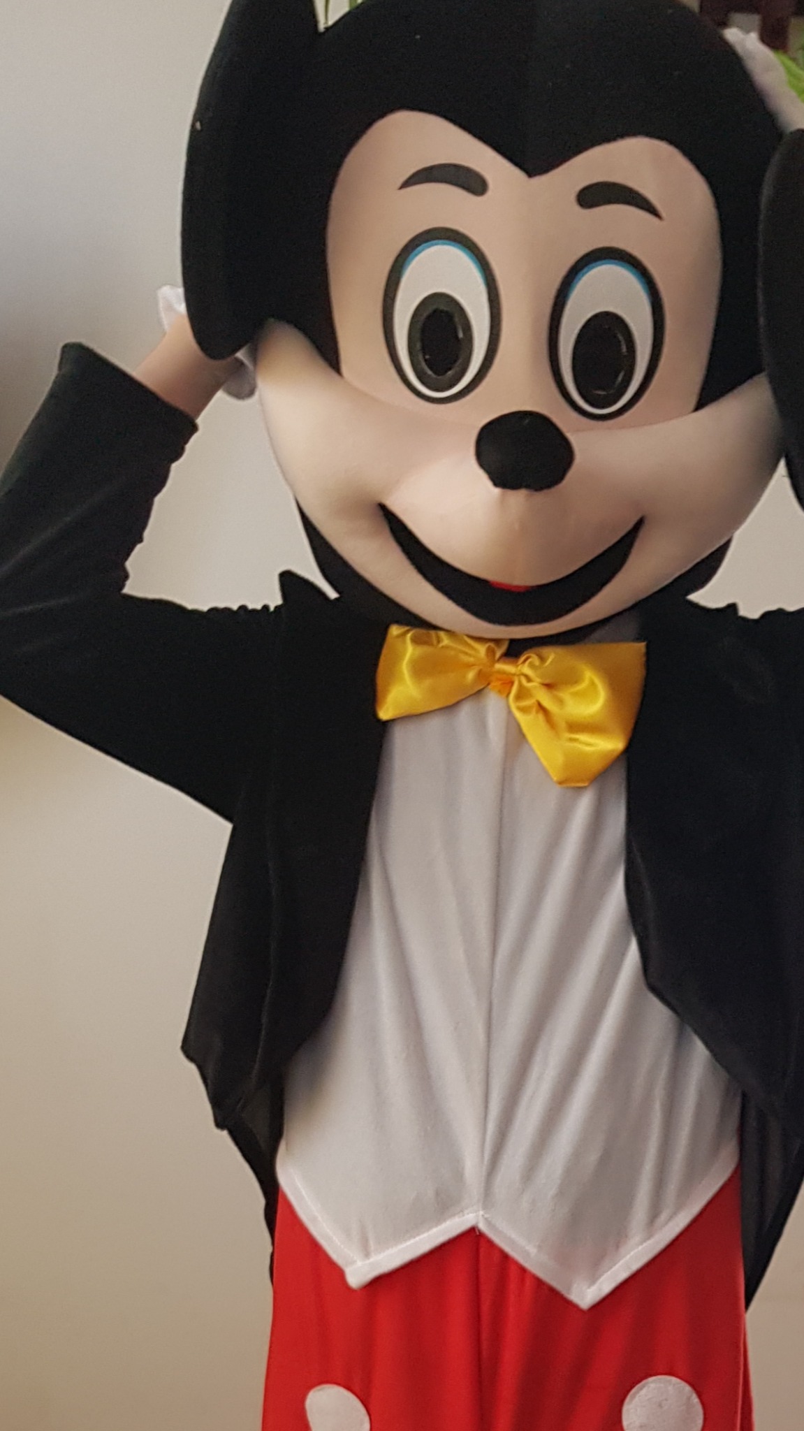 Osoba w kostiumie Myszki Miki, poprawiająca maskę na głowie, widoczny żółty krawat i czerwone spodnie z białymi kropkami.