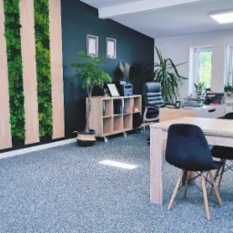 Nowoczesne biuro z drewnianym stołem, czarnymi krzesłami, ścianą z mchu i roślinami doniczkowymi, oświetlone naturalnym światłem wpadającym przez okna.