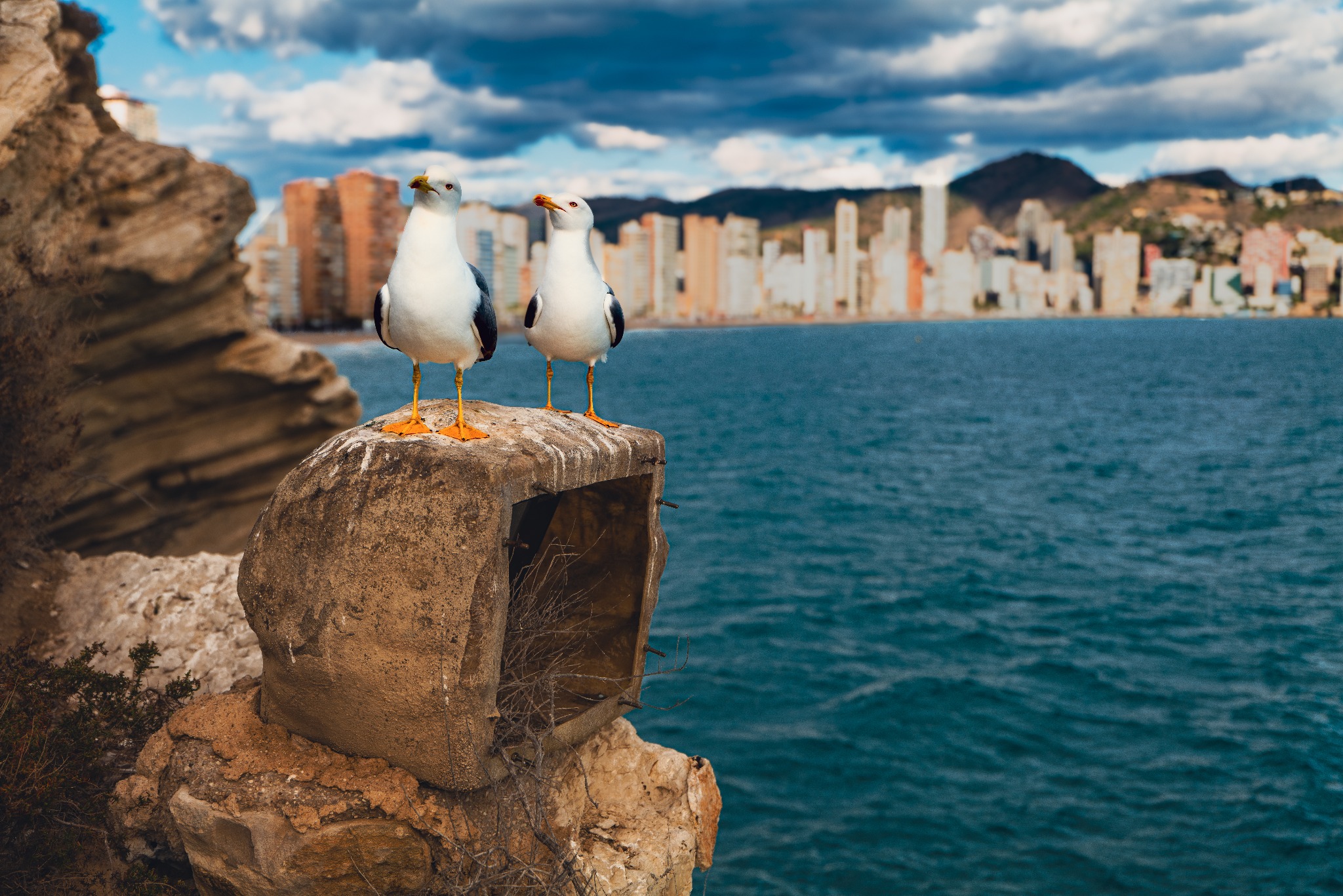 Fotografia przyrody - Hiszpania