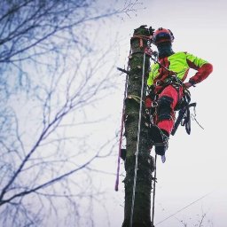 F&F TREEWORK - Rewelacyjne Projekty Ogrodu Wieliczka