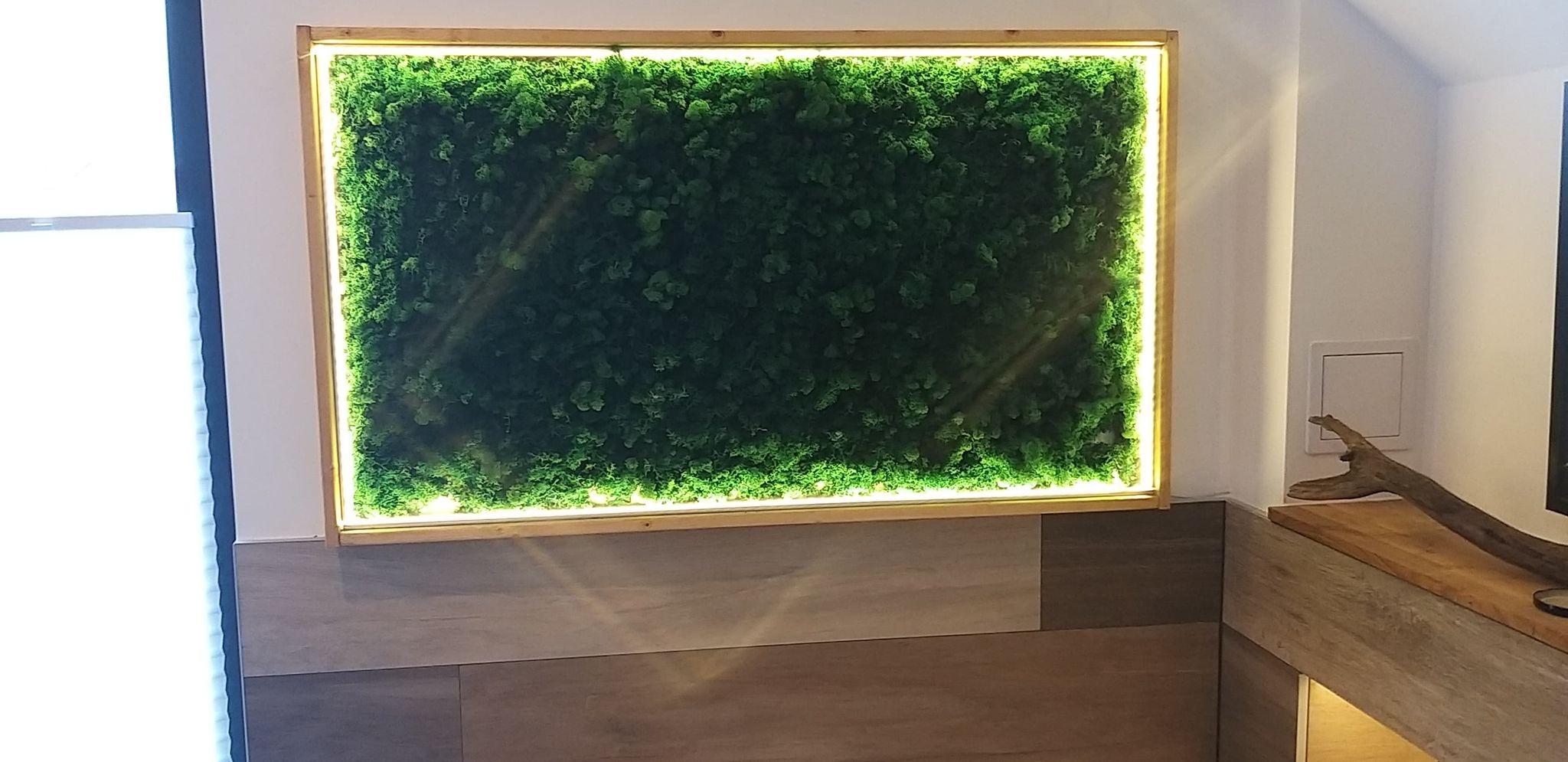 Budowa i montaż panela LED z chrobotkiem norweskim