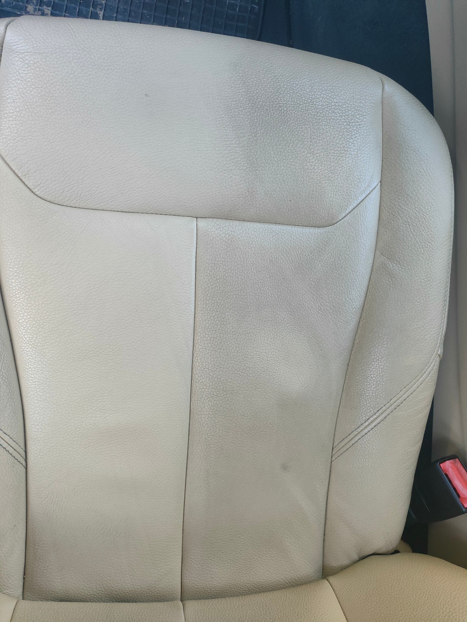 Czyszczenie i impregnacja skór