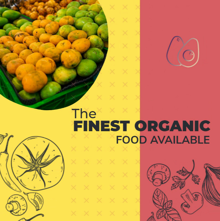 Grafika reklamowa z mango, pomidorem i grzybami, promująca organiczną żywność. Po lewej stronie u góry widoczne dojrzałe mango w koszyku, a na dole rysunek pomidora i grzybów. Po prawej stronie...