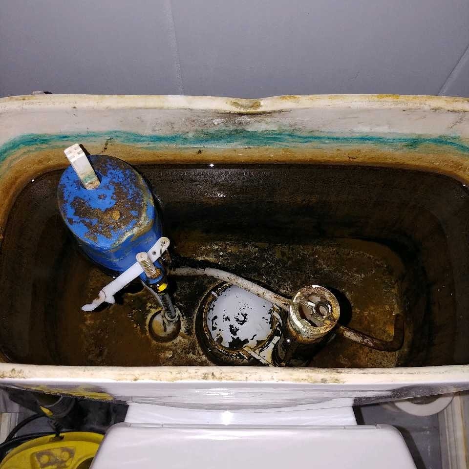 Wnętrze brudnej spłuczki toalety z widocznymi elementami instalacji, osadami i rdzawymi nalotami, niebieski pływak z widocznymi śladami korozji.