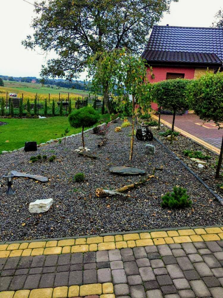 Aranżacja ogrodu w Miechowie z wysypanym grysem, ozdobnymi kamieniami, niskimi iglakami i młodymi drzewkami liściastymi, widok z poziomu kostki brukowej.