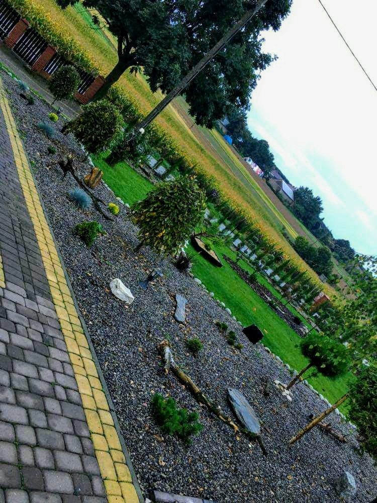 Ukośne ujęcie nowocześnie zaaranżowanego ogrodu z kamiennym podłożem, ozdobnymi krzewami i elementami drewna, z widokiem na pole w tle.