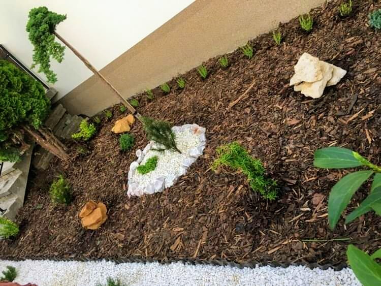 Ukośne ujęcie nasypu ziemnego z korą, kamieniami ozdobnymi i różnorodną roślinnością, w tym płożącą się z drzewa, z widocznym fragmentem schodów i ściany budynku w tle.