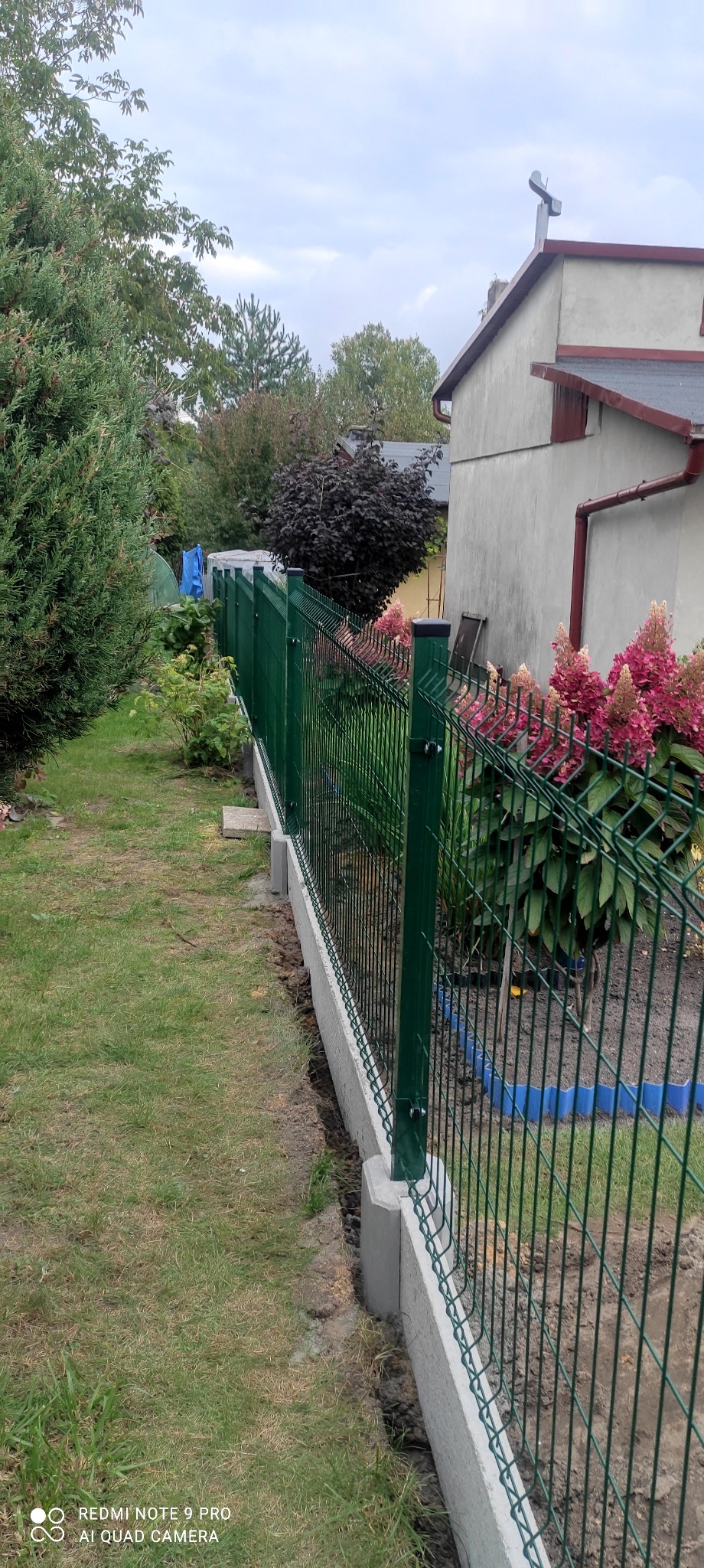 Nowoczesne ogrodzenie panelowe w kolorze zielonym, osadzone na betonowej podmurówce, oddzielające trawnik od rabatki z kwitnącymi hortensjami i innymi roślinami, widok z boku w kierunku domu.