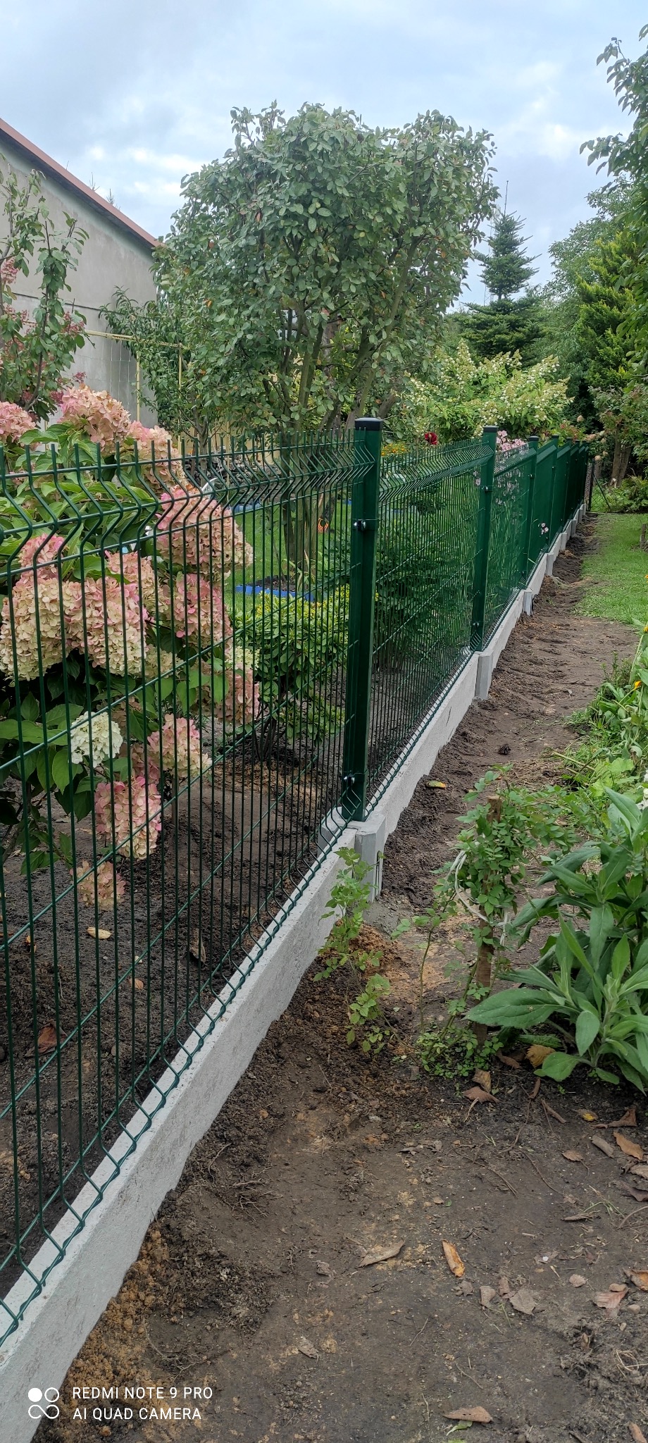 Zielone ogrodzenie panelowe z podmurówką betonową w ogrodzie z hortensjami i drzewami.