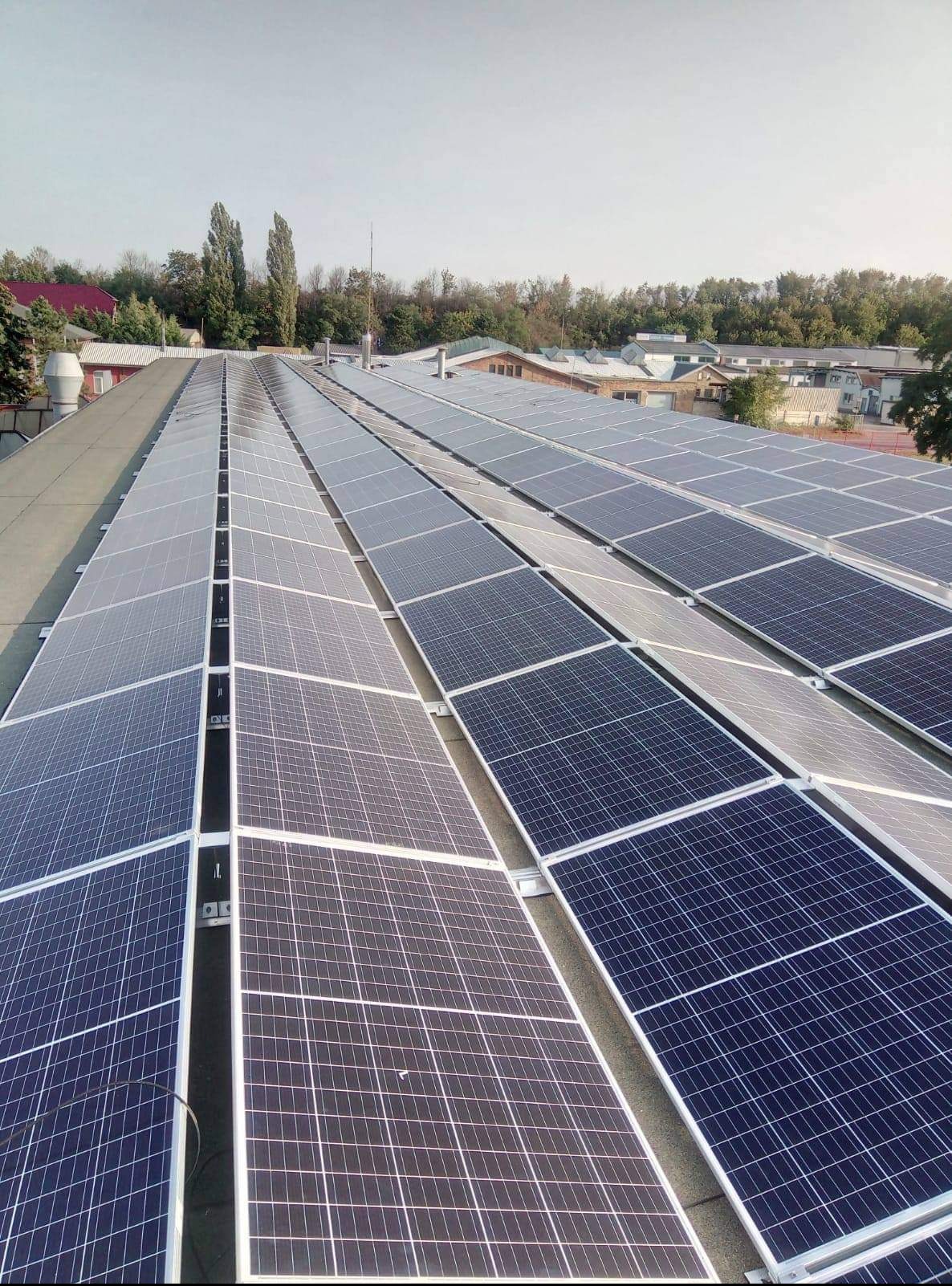 Rozległa instalacja paneli słonecznych na płaskim dachu budynku przemysłowego, widok z góry, z widocznymi drzewami i budynkami w tle.