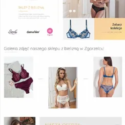 Widok strony internetowej sklepu z bielizną Saralingerie.pl, prezentujący różne modele bielizny na modelkach i w zbliżeniach, z widocznym logo i ofertą sklepu.