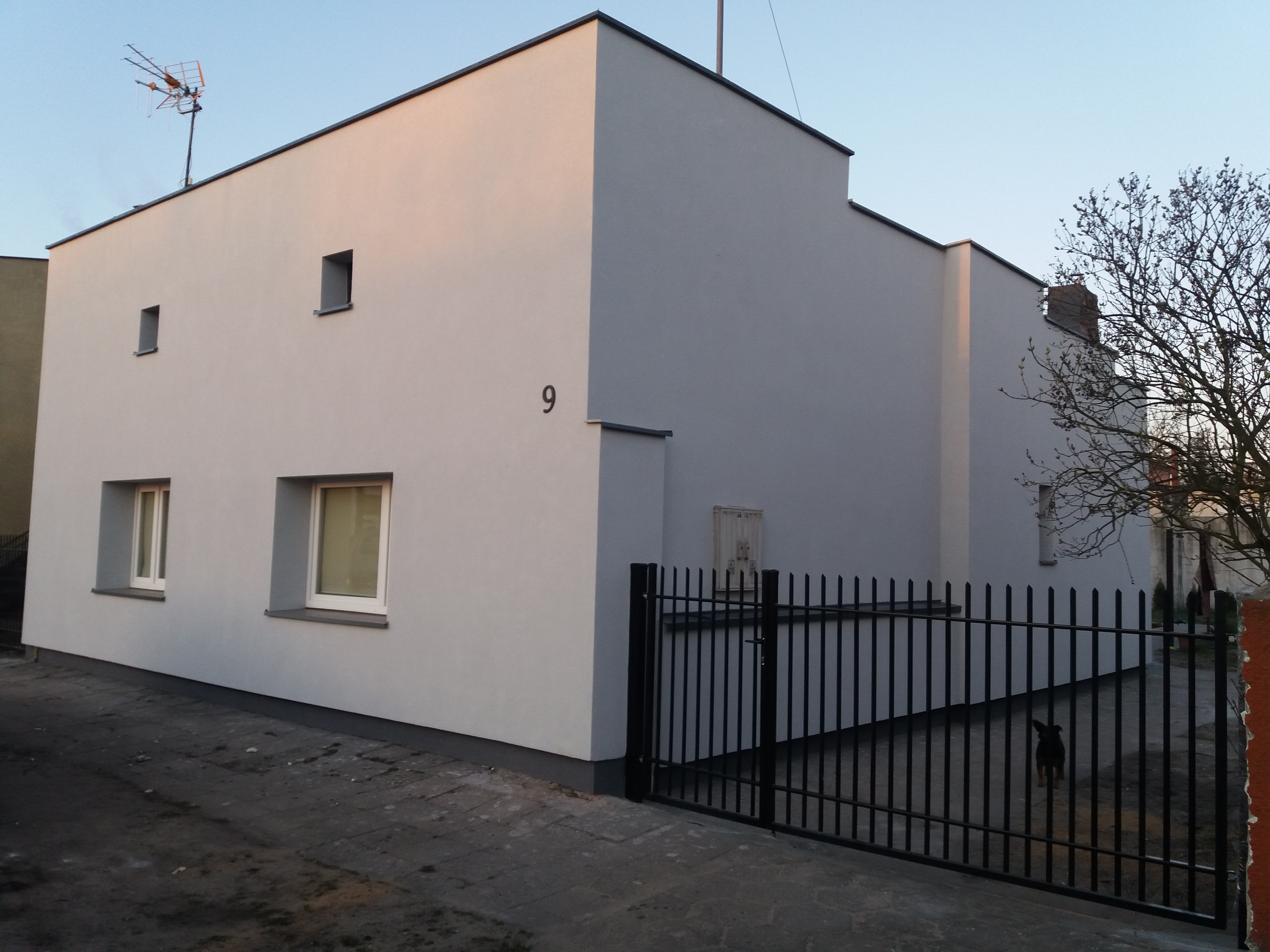 Nowoczesny, biały dom z numerem 9, czarnym ogrodzeniem i małym psem za nim, sfotografowany o zmierzchu.