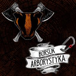 Borsuk Arborystyka - Ogrodnik Poznań