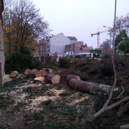 Pielęgnacja ogrodów Poznań 3