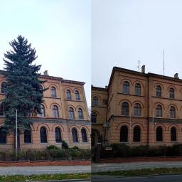 Pielęgnacja ogrodów Poznań 1