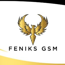 "FENIKS GSM" - Serwis Telefonów i Laptopów - Opieka Informatyczna Koszalin