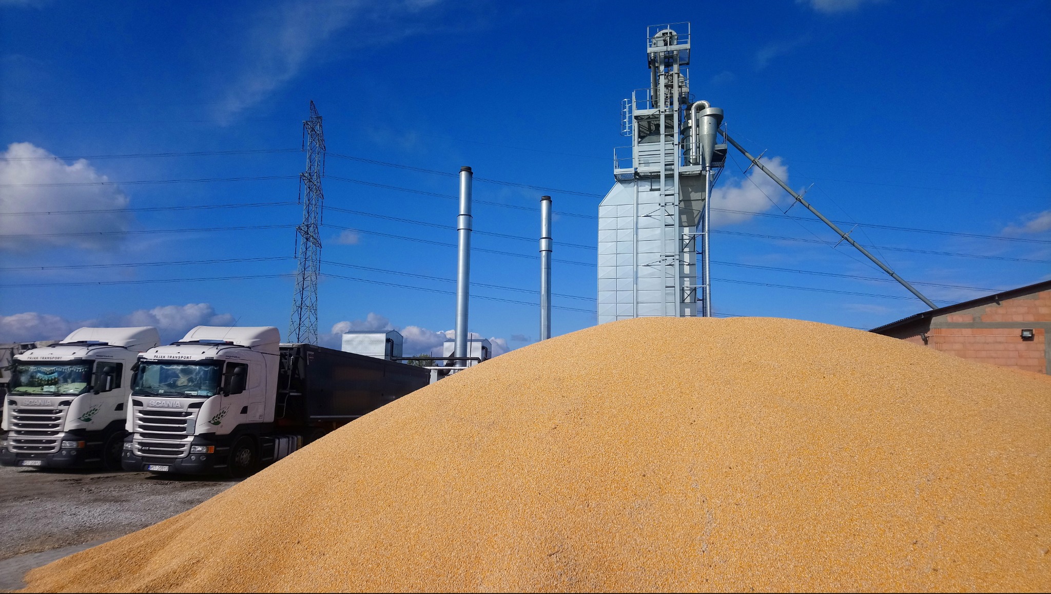 Góra kukurydzy przed elewatorem zbożowym, w tle zaparkowane ciężarówki transportowe i słup wysokiego napięcia pod błękitnym niebem.