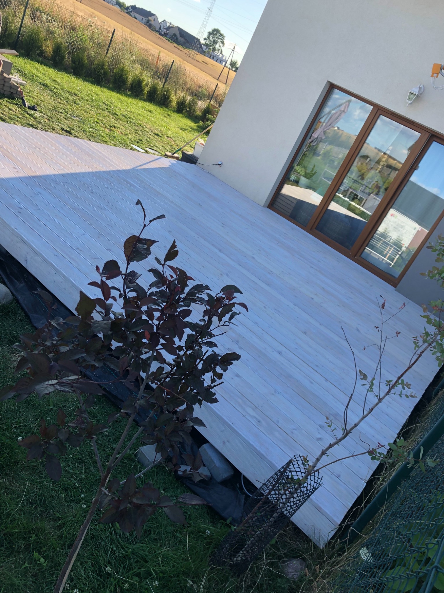 Jasnoszara drewniana deska tarasowa z widocznymi słojami, przylegająca do białego budynku z dużymi oknami, w tle zielona trawa i pole, w pierwszym planie małe drzewko z bordowymi liśćmi.