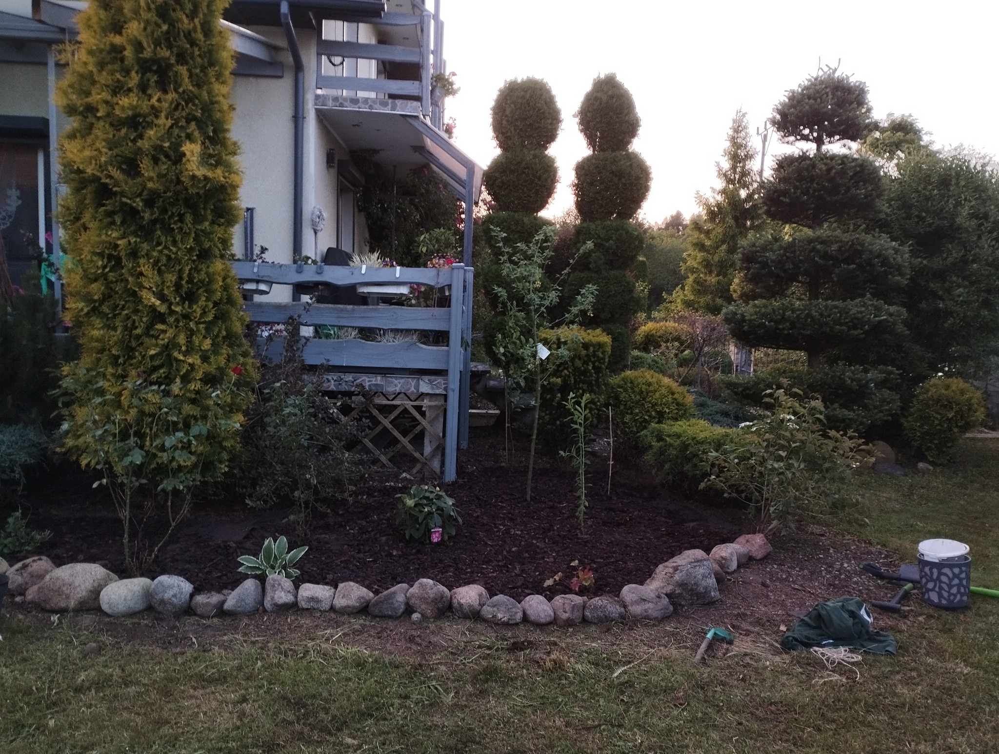 Aranżacja ogrodu z obrzeżem z kamieni i ozdobnymi drzewami w Gdańsku. Widoczne narzędzia ogrodnicze.