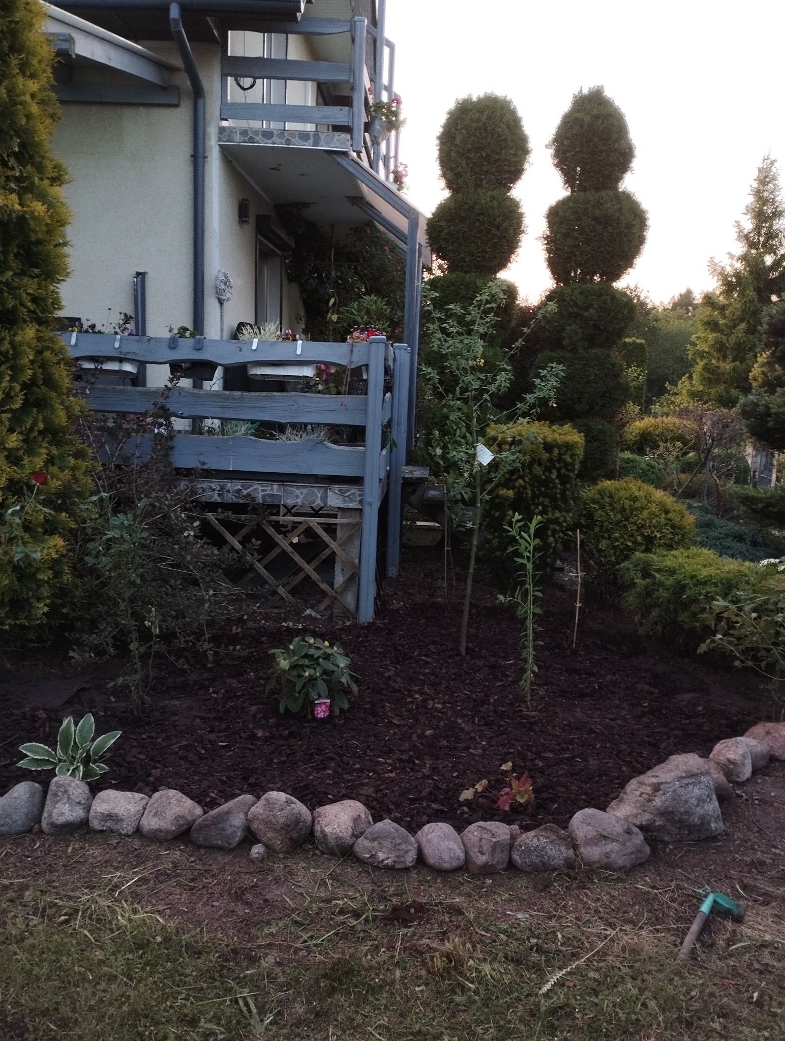 Uporządkowany ogród przydomowy z rabatą wyłożoną korą, obrzeżem z kamieni i formowanymi drzewami na tle domu z balkonem. Widoczne młode sadzonki.