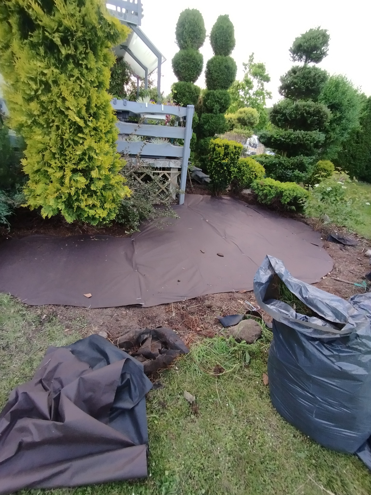 Przygotowanie podłoża pod trawnik: rozłożona agrotkanina na ziemi, obok worki na odpady zielone, w tle ozdobne krzewy i altana, etap prac ogrodniczych.