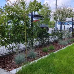 Posadzone rośliny ozdobne wzdłuż ogrodzenia panelowego, z korą jako ściółką, trawnik i kostka brukowa w tle samochody i pojemniki na śmieci.