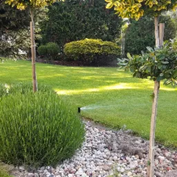 Zadbany trawnik z automatycznym nawadnianiem, ozdobne krzewy i drzewka formowane w kulę, obrzeża z kamieni.