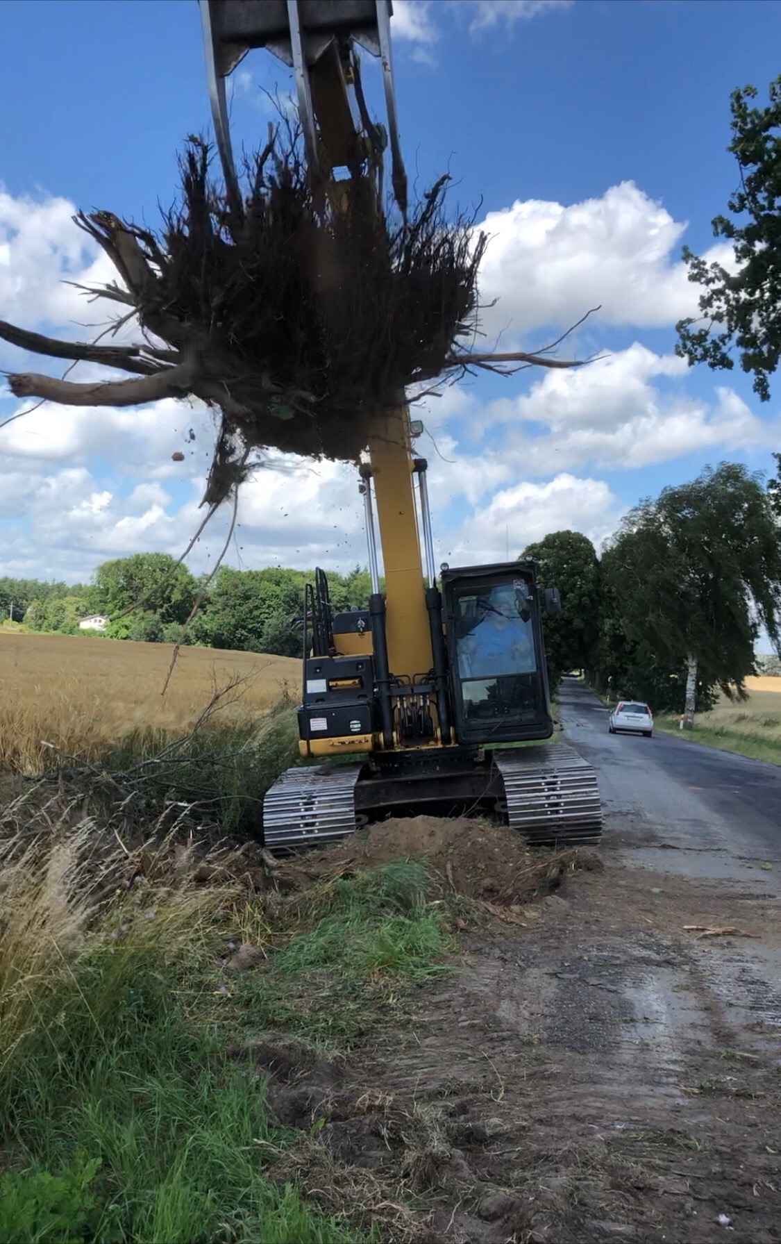 Żółta koparka gąsienicowa podnosi wyrwany z ziemi korzeń drzewa na tle pola i błękitnego nieba z chmurami.