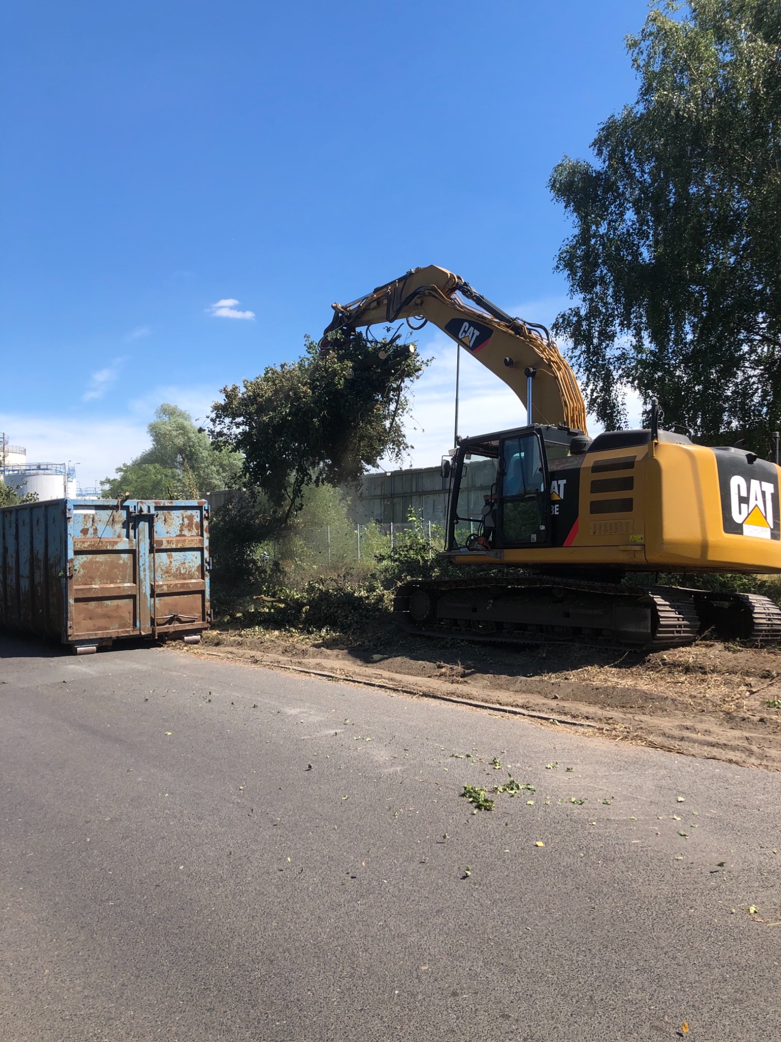 Żółta koparka CAT z chwytakiem przenosi gałęzie do metalowego kontenera na tle błękitnego nieba i drzew, widoczne ślady po cięciu gałęzi na asfalcie.