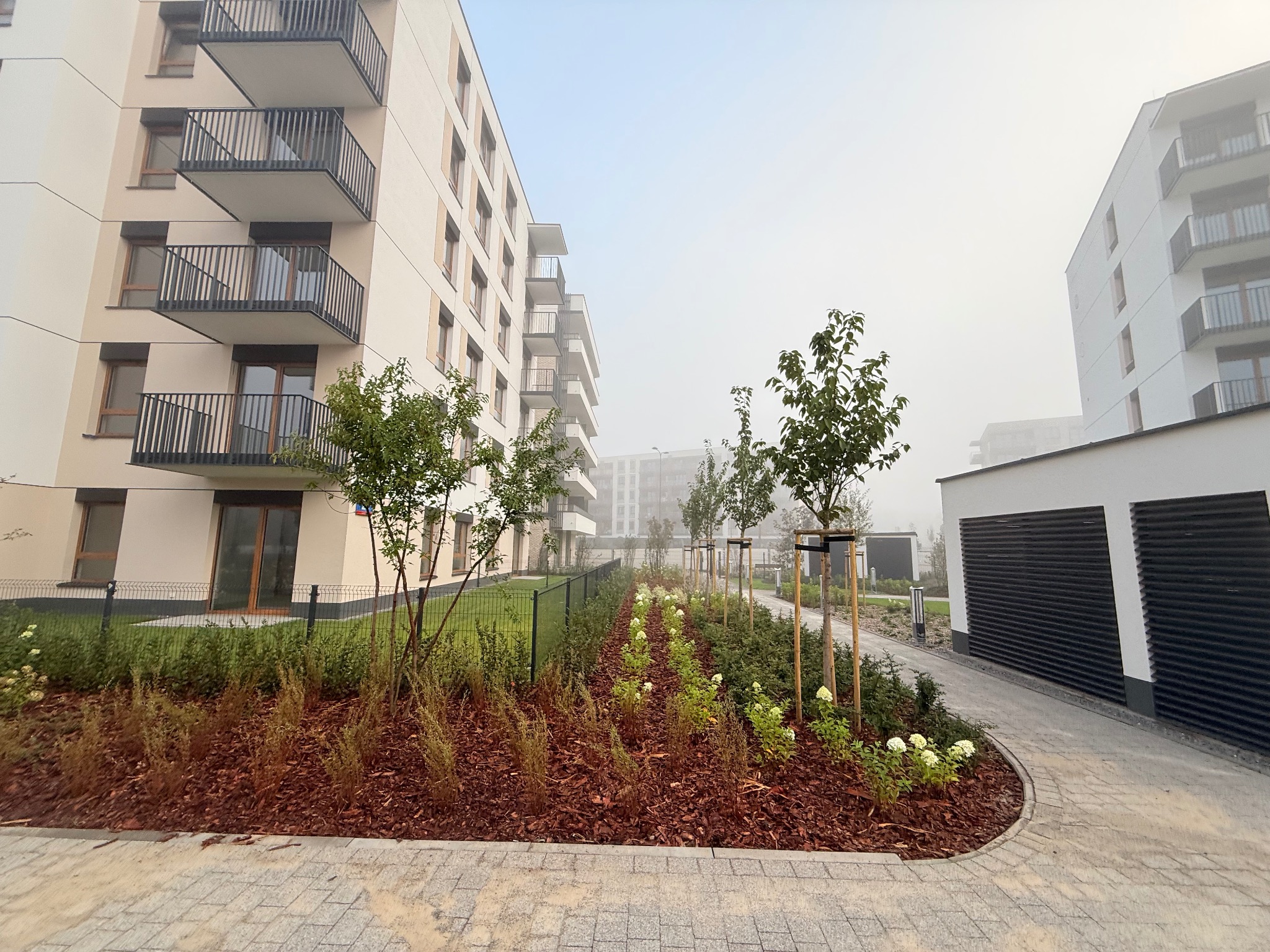 Jasnoszara kostka brukowa prowadzi wzdłuż rabaty z korą i młodymi drzewkami, na tle nowoczesnych budynków w porannej mgle. Widok na osiedle.