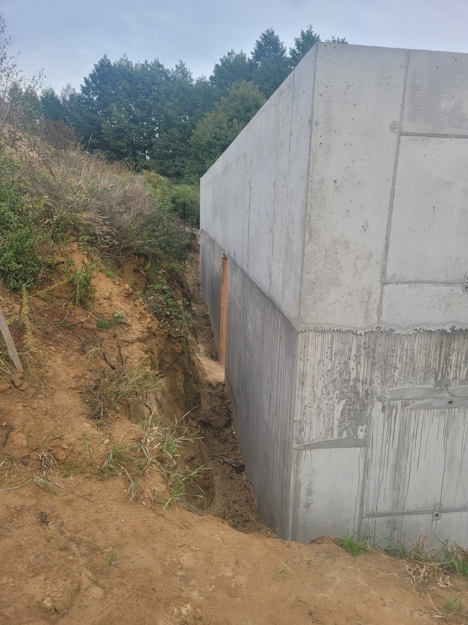 Betonowa ściana fundamentowa wystająca z wykopu, widoczne ślady po szalunku, ziemia wokół wykopu oraz drzewa w tle.