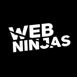 WEBNINJAS Sp. z o. o. - Pozycjonowanie stron Kraków