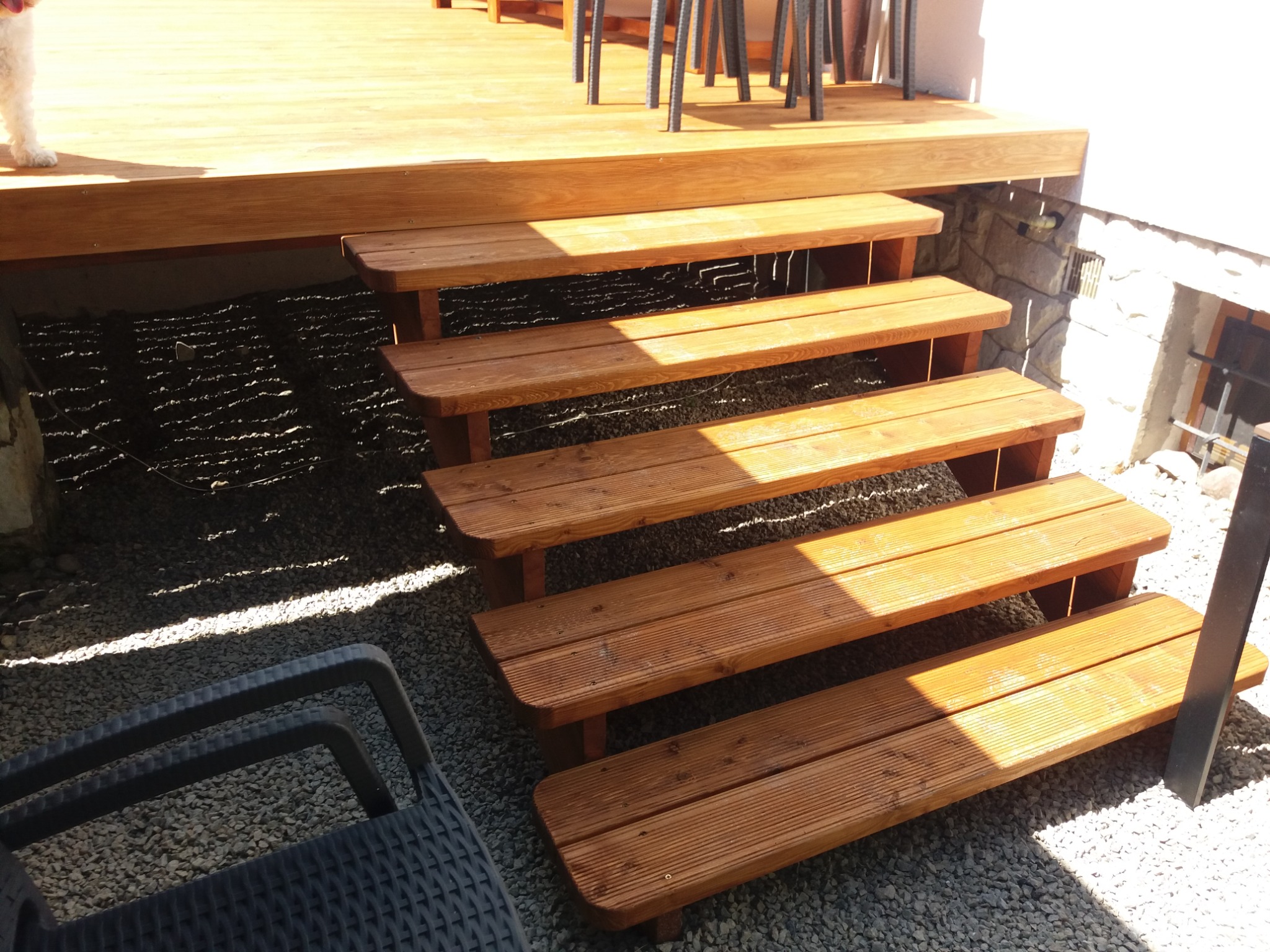 Drewniane schody prowadzące na taras, widoczne z dołu, z krzesłem na pierwszym planie i fragmentem psa w lewym górnym rogu.