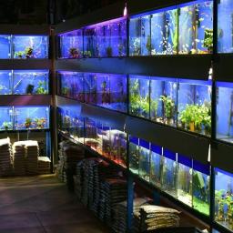 Część naszego działu akwarystycznego