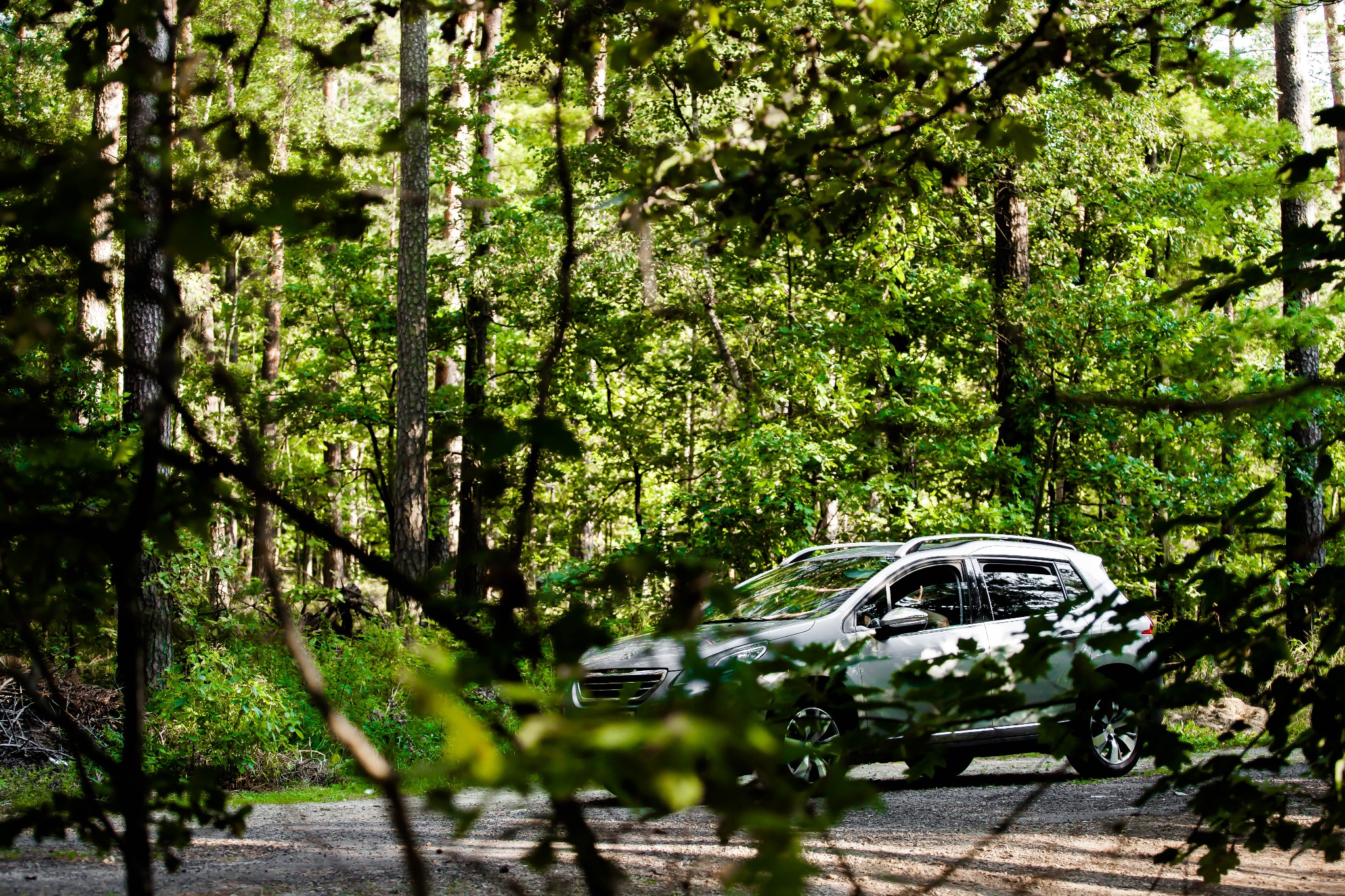 Srebrny SUV zaparkowany na leśnej drodze, widoczny przez gałęzie drzew.