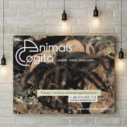 Tablica dla firmy Animals Cogito