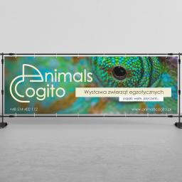 Baner dla firmy Animals Cogito