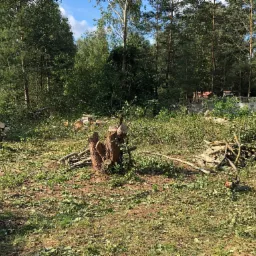 Teren po wycince drzew: pnie, stosy gałęzi i rozsypane liście, z piłą łańcuchową na trawie, otoczone lasem i ogrodzeniem w tle.