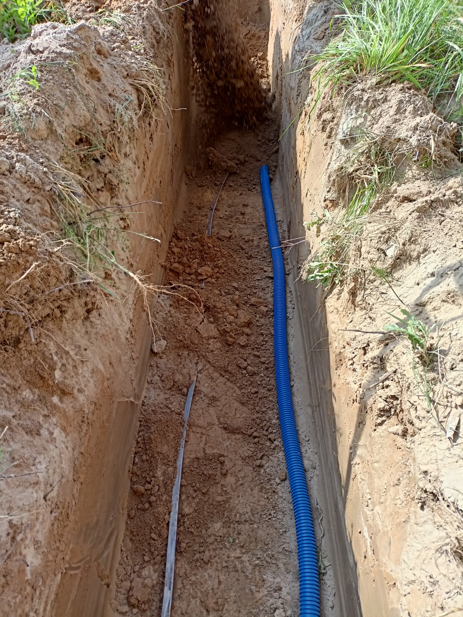 Wykop w ziemi z ułożoną niebieską rurą karbowaną, prawdopodobnie peszel, widoczne ślady po wykopie i korzenie wystające z ziemi.