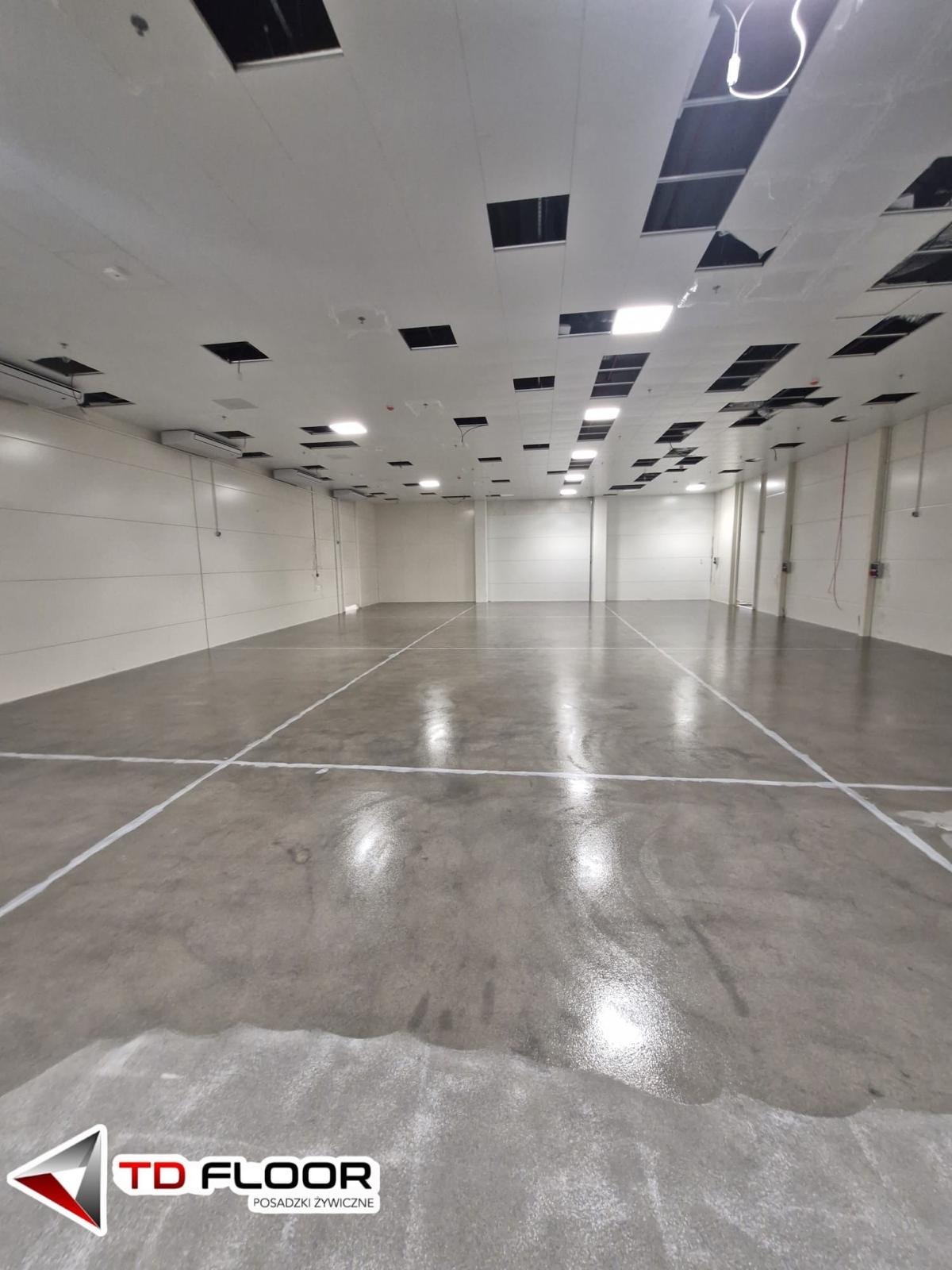 Błyszcząca, szara posadzka w hali z białymi liniami podziału, widok z dołu, oświetlenie sufitowe, logo TD Floor w rogu.