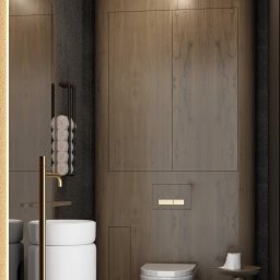 Eco Klima Mateusz Lipiński - Nowoczesna łazienka z umywalką na postumencie, toaletą podwieszaną i podświetlanym lustrem w kształcie łuku. Minimalistyczny design z drewnianym wykończeniem.