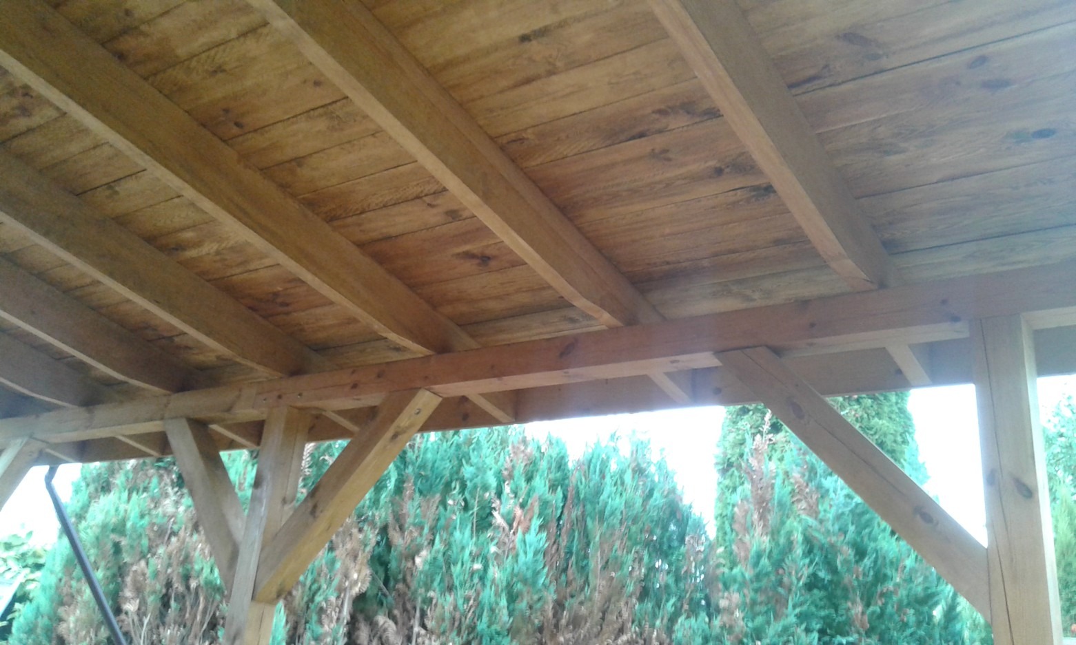 Drewniana konstrukcja z widocznym zadaszeniem z desek, wsparta na słupach z ukośnymi wspornikami, na tle zielonych krzewów.