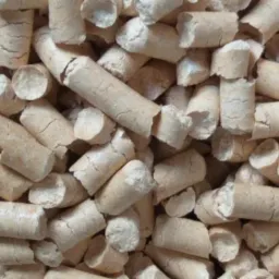 Jasne, beżowe pellety drzewne ułożone blisko siebie, widoczne pęknięcia i nierówności na powierzchni, oświetlenie podkreślające teksturę.